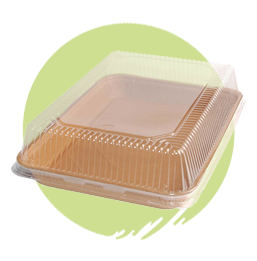 45745 Rectangle Eco-Tray