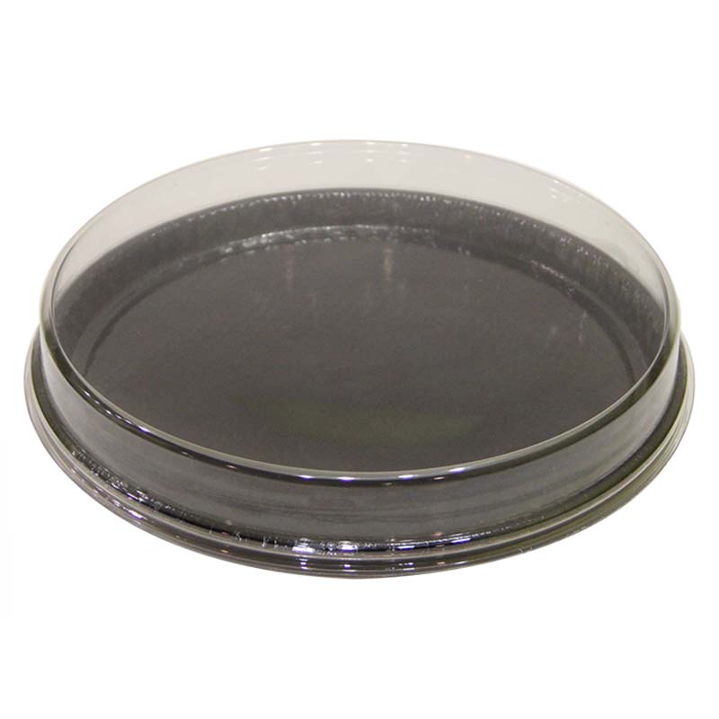Oval trays in Ops food DC 750 Deli with Lid 